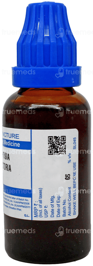 Sbl Baptisia Tinctoria Q Mother Tincture 30Ml